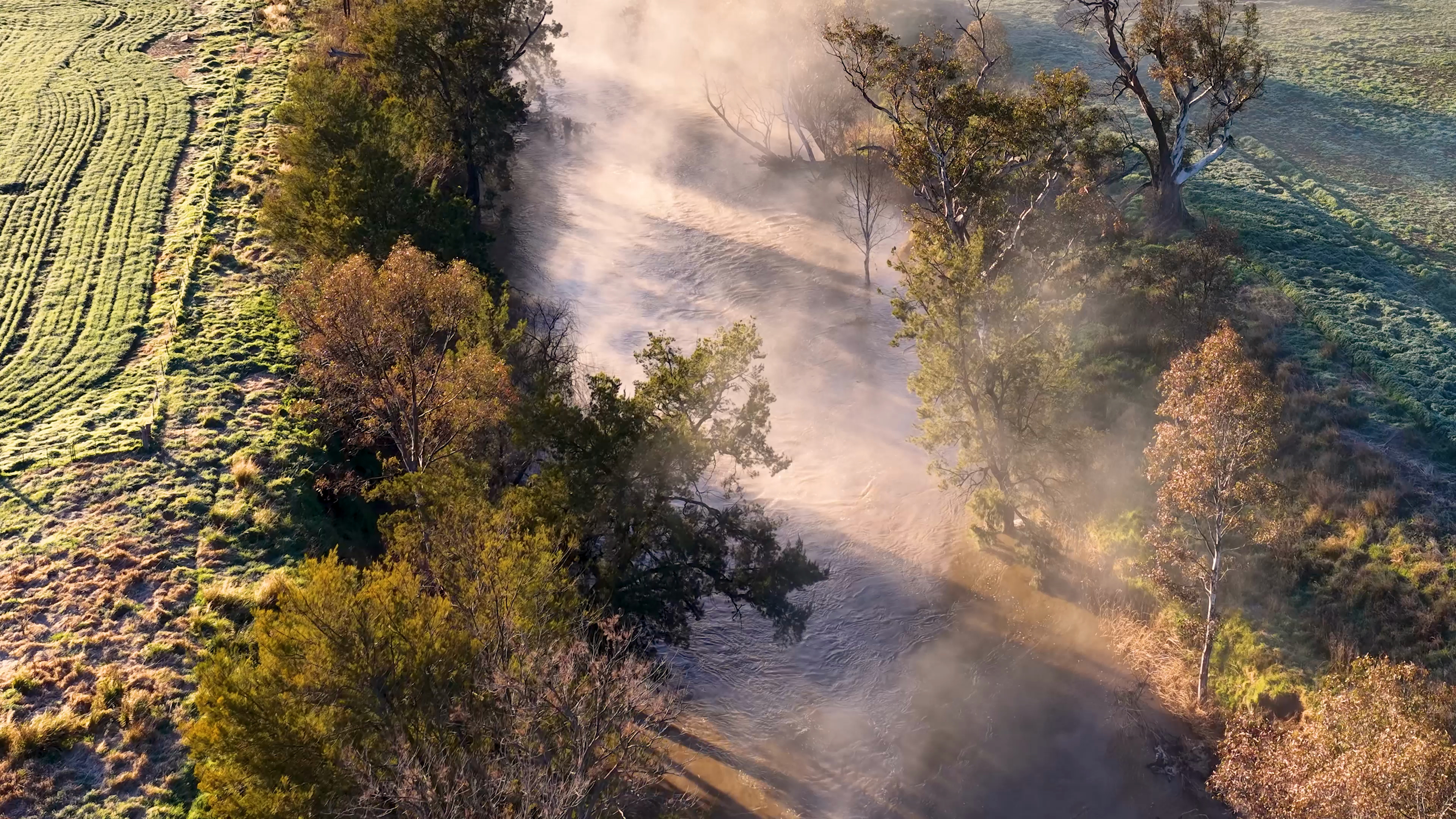 bushfire