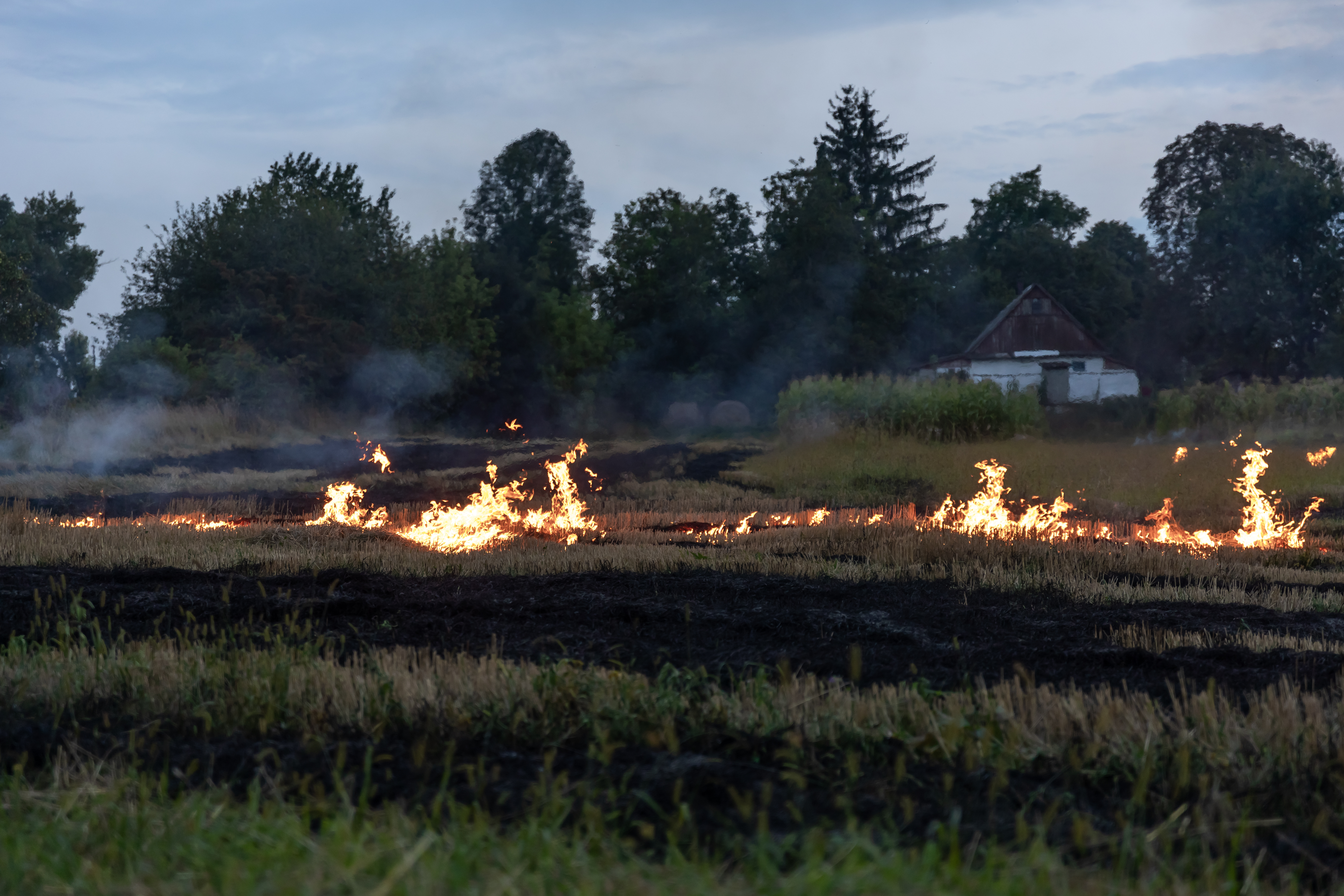 wildfire