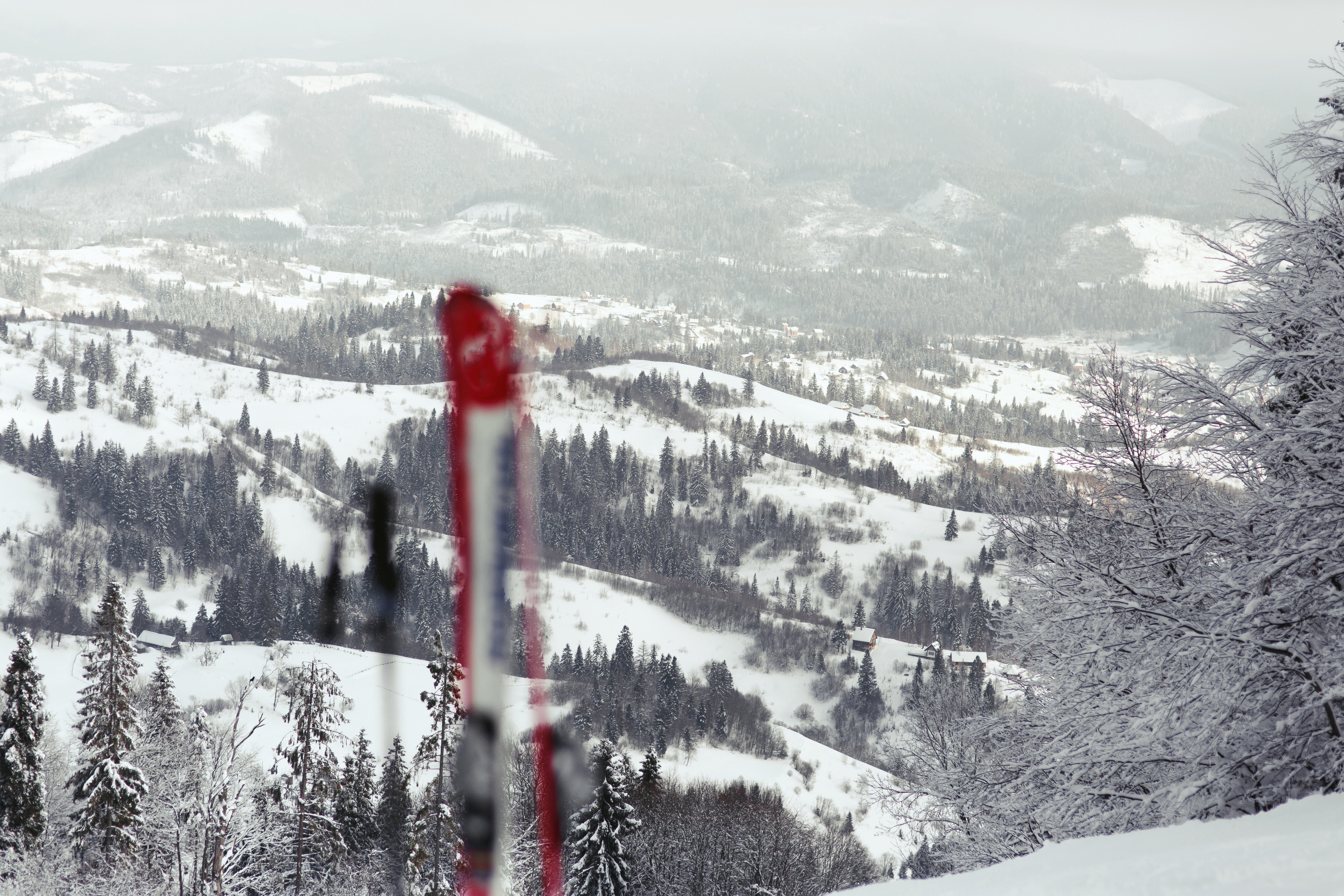 Red and white skis put in the snow with great mountain view behind them
